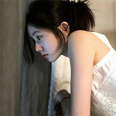 流浪狗阿甘